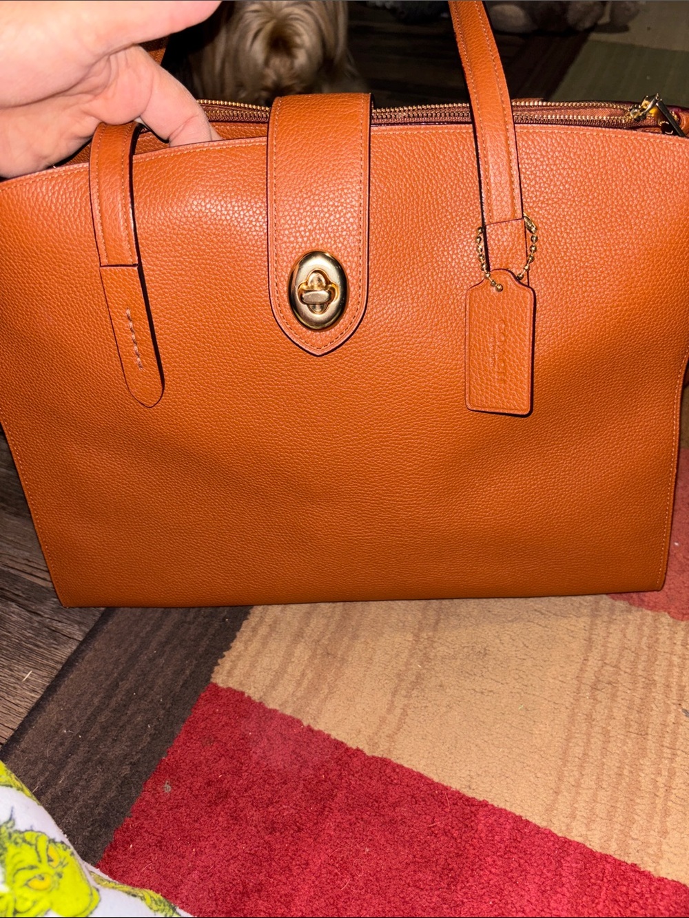 Coach Women's Leather Tote Bag in Saddle Brown